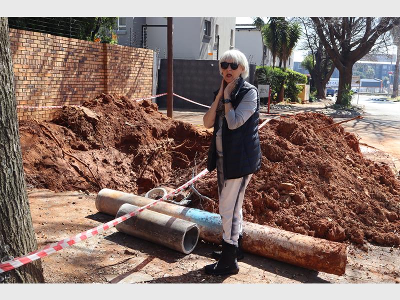 Several streets in Bedfordview are marred by reinstatements with some lasting months and the councillor is concerned about them.
