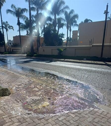 Sewage overflows frustrate Bedfordview residents