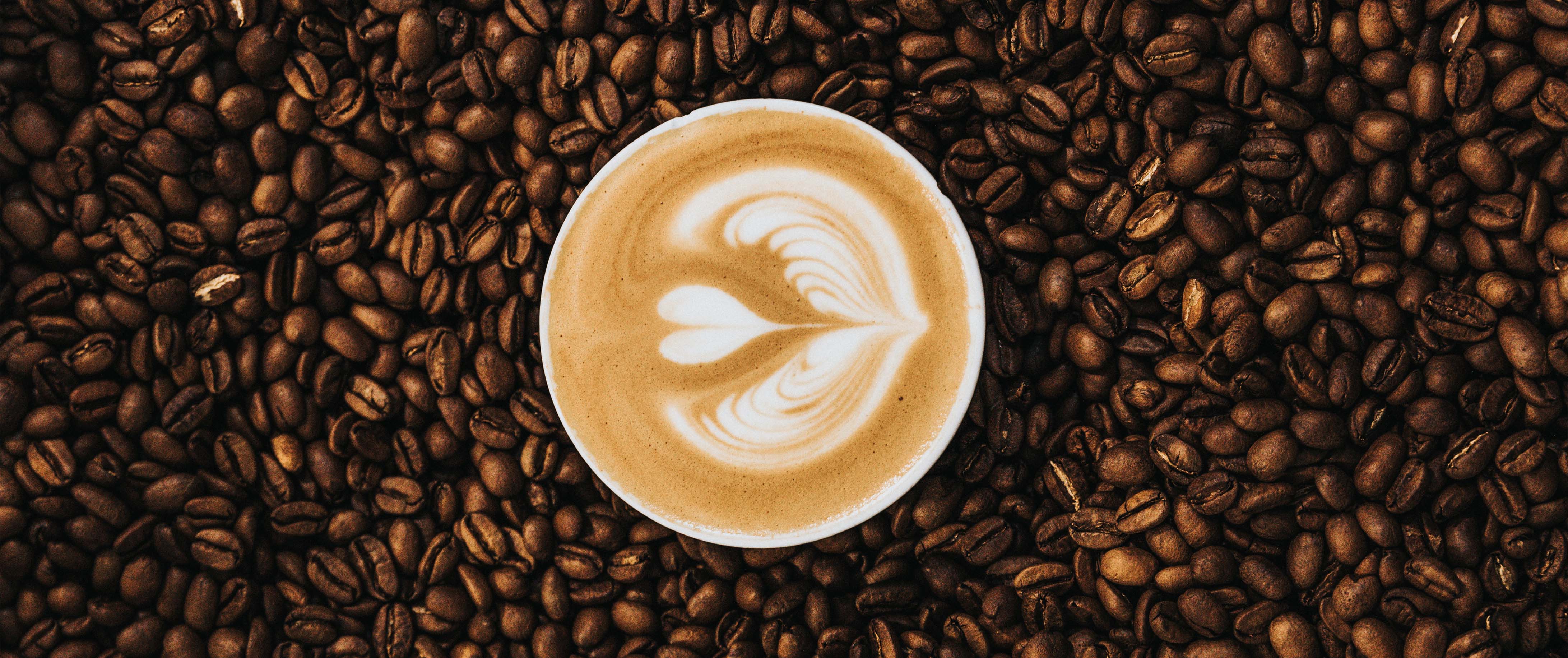 nathan-dumlao-471723-unsplash coffee crop2