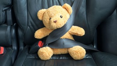 Child car safety: Why wearing a seatbelt saves lives