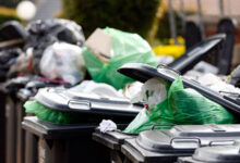 pikitup_2718495_3979627_4713549