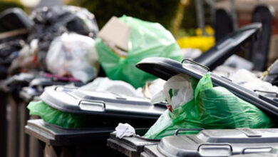 pikitup_2718495_3979627_4713549