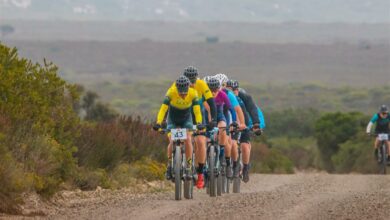 MTB Travle (Medium)