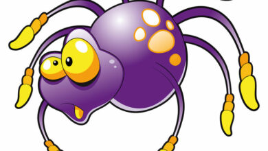 Treating spider bites in children