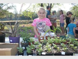 P10VioletOosterbr_45608