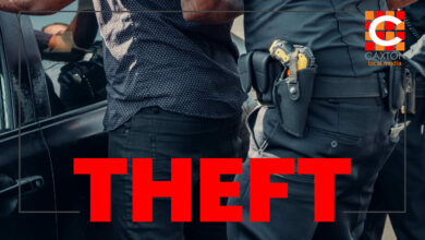 Thief apprehended