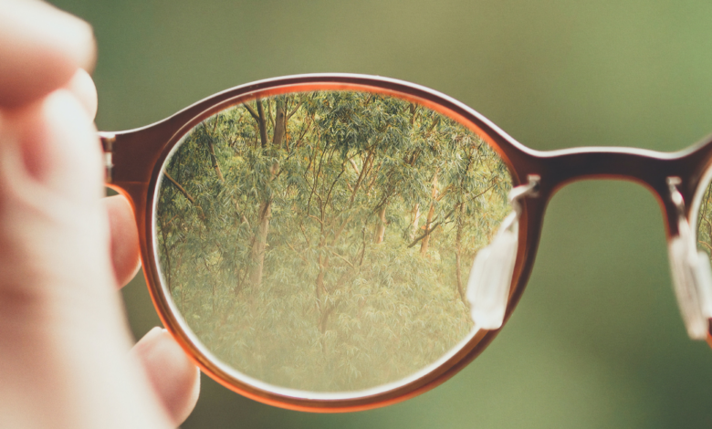 LNN Featured Image_1 (14)