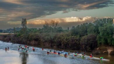 Paddlers in action in the Berg River Canoe Marathon, the longest canoe marathon in South Africa.