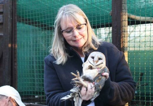 Karen Mey shows off the barn owl.