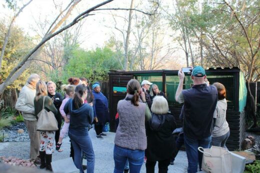 Residents are happy to see the new arrivals.
