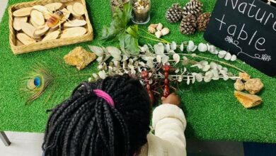 Pinnacle College Kyalami Pre-Preparatory are embarking on an amazing new curriculum model known as ICM – integrated curriculum model. Photo: Supplied