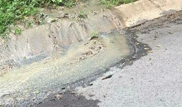 The sewage leak that is worrying Bryanfern residents.