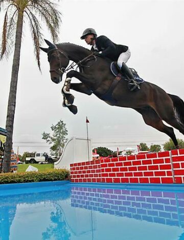 Ronnie Healy and his horse Mandarino.