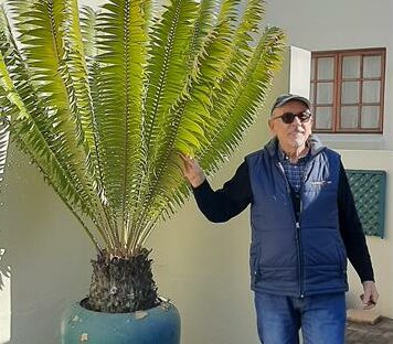 A cherished family plant, nurtured for over six decades, has been gifted to Lonehill Park as a living legacy from resident Peter de Nóbrega, whose father first purchased it in the late 1960s.