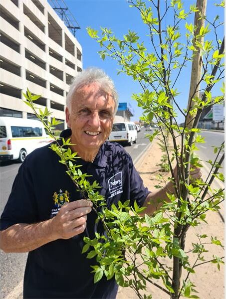 Councillor David Foley says he’s blown away by the transformation, as Fourways Mall, City Parks, and landscapers replace informal vendors with 200 trees.