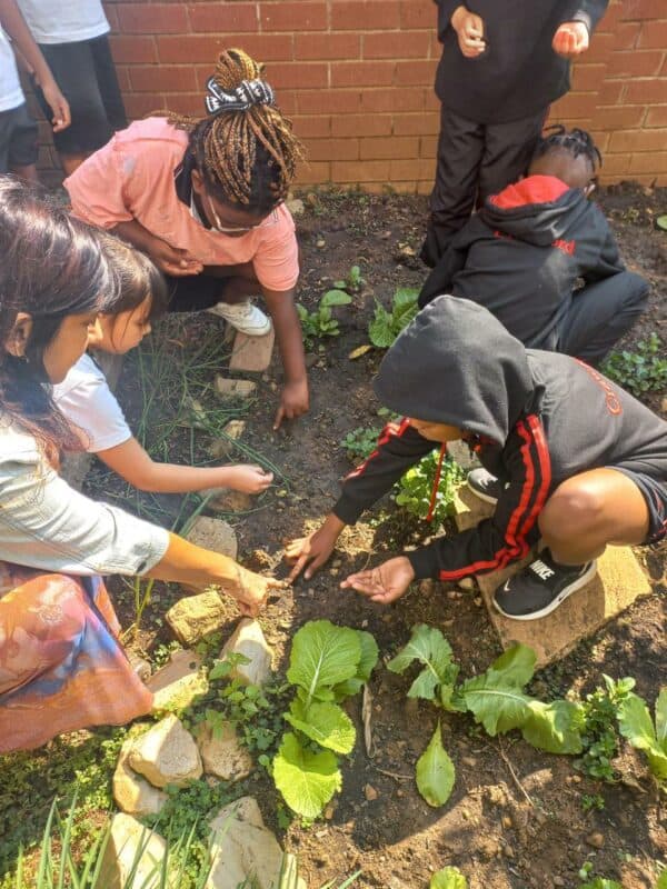 Crawford International Lonehill marked Arbour week with eco-friendly activities, from planting seeds and creating windowsill gardens to a Lorax-inspired play, instilling in learners the value of protecting the environment.