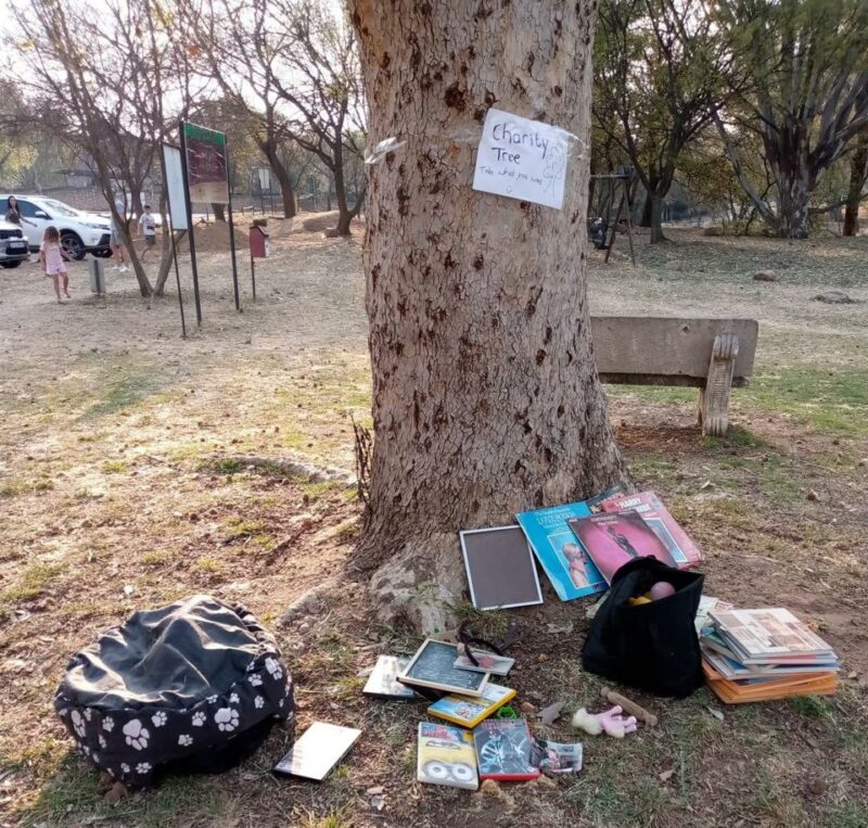 A creative act of giving in Robyn Park has sparked joy and community spirit, proving that even small deeds can make a big difference.