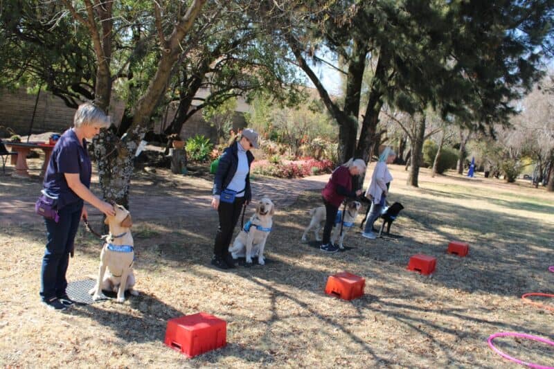 Every step, every drive, every goal you achieve could help someone see the world through new eyes.