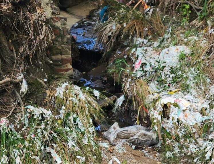 Johannesburg City Parks has defended its handling of a Magaliessig fence dispute after residents accused the entity of double standards and sidelining community volunteers at the Heilbrunnen Bird Sanctuary.