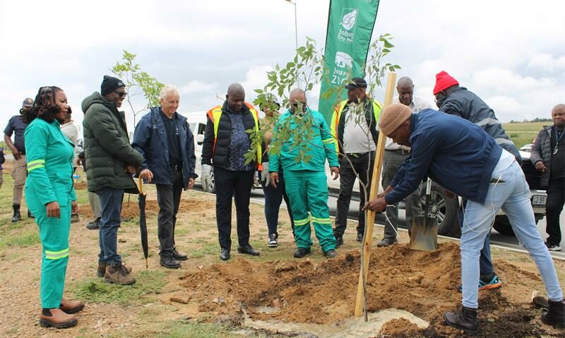 Residents turned out in numbers to support City Parks’ record-breaking tree-planting drive along Winnie Mandela Drive, helping plant thousands of trees in just one hour.