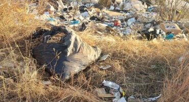 Rubbish and debris scattered along Kindred Avenue in Farmall, on October 18, 2025. Photo: Supplied