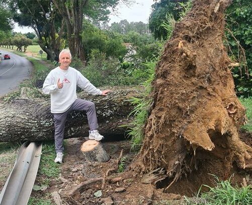Johannesburg City Parks and Zoo’s call for residents to take caution around vulnerable trees during heavy rains has taken on new urgency, after a Lonehill mother survived a frightening near-miss when a massive tree collapsed in front of her car.