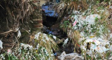 The resident says rubbish is building up again in the sanctuary, claiming they have been told to cease maintenance by JCPZ. City Parks denies this. Photo: Supplied