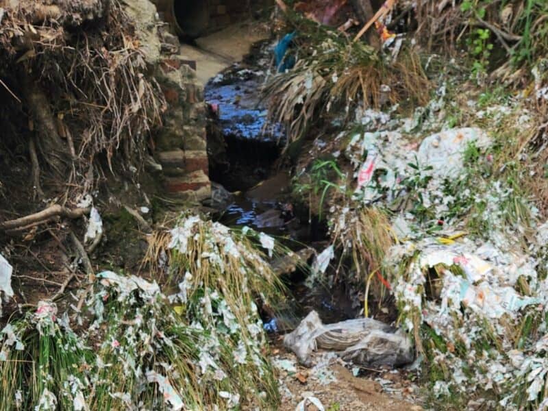 The resident says rubbish is building up again in the sanctuary, claiming they have been told to cease maintenance by JCPZ. City Parks denies this. Photo: Supplied