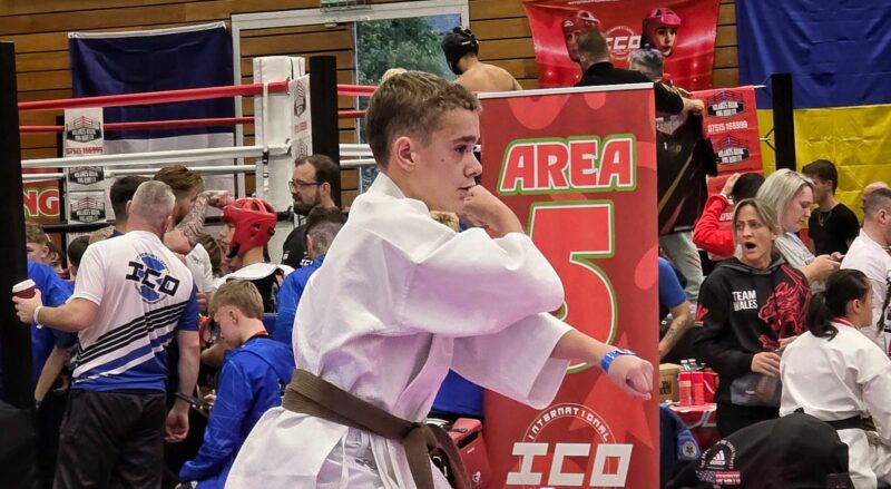 Vian Hanekom has made South Africa proud after winning one gold and two bronze medals at the International Combat Organisation World Championship.