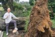 Ward 94 Councillor David Foley inspects the site of the fallen tree on Lonehill Boulevard on the morning of November 17, 2025, praising City Parks for their swift and efficient response. Photo: Supplied