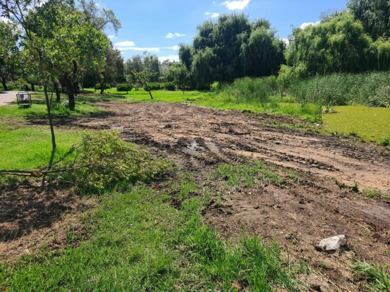 After months of lingering debris, the park finally gets the clean-up it deserved, and it is all thanks to City Parks and Ward 94 councillor David Foley’s watchful eye.