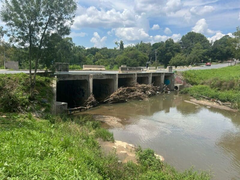 Ward 115 councillor Mark van der Merwe warns that debris building up at Platina Bridge could trigger another flood, saying the crossing has worsened since it was reported, and remains vulnerable after repeated flooding in 2023 and 2025.