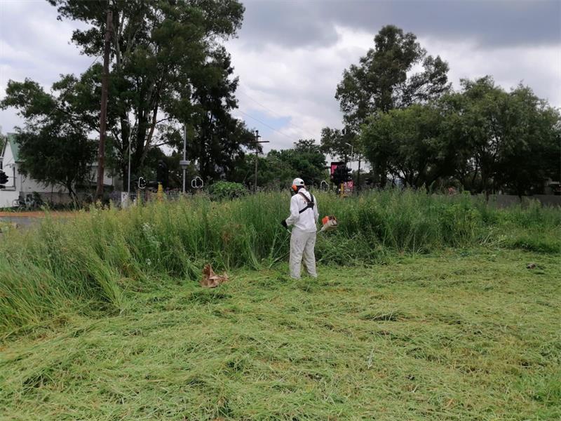 The Sunninghill Ratepayers Association’s Restore Sunninghill initiative has set its priorities for 2026, focusing on overgrown grass, litter removal, and safer public spaces.