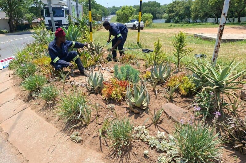 While the barrier garden initiative has brought visible change, the Douglasdale Business and Residents Forum says sustained community support is essential to keep the momentum going.
