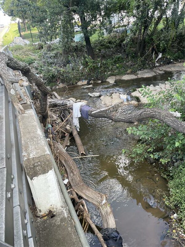 Johannesburg City Parks and Zoo says it will assess pollution concerns at Paulshof Spruit Park after residents raised alarm over debris, riverbank litter and informal recycling activities along the Braamfontein Spruit.