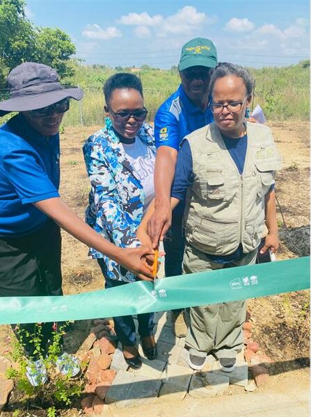 The mini water-wise garden opened at Reshomile Primary School in Diepsloot marked the school's efforts to get their students back to nature.