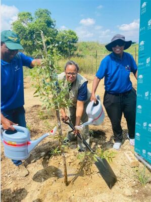Victor Hlungwani, Sinah Mogolo, and Sophie Tlhabadira get together to plant the very first tree in the mini school garden on March 17, 2026. Photo: Reitumetse Gugushe