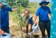 For illustrative purposes. Victor Hlungwani, Sinah Mogolo, and Sophie Tlhabadira get together to plant. Photo: Reitumetse Gugushe