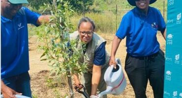 For illustrative purposes. Victor Hlungwani, Sinah Mogolo, and Sophie Tlhabadira get together to plant. Photo: Reitumetse Gugushe