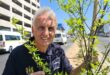 : Ward councillor David Foley stands next to a newly planted tree on July 31, 2025. Photo: Ditiro Masuku