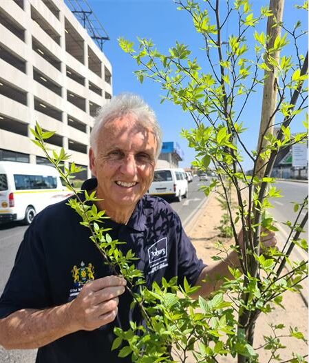 : Ward councillor David Foley stands next to a newly planted tree on July 31, 2025. Photo: Ditiro Masuku