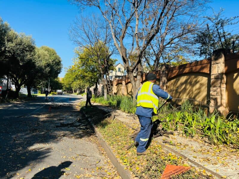 Residents can expect brighter pavements, warmer gardens, and clearer roadsides in the coming weeks as pruning teams move from street to street, with Ward 93 councillor Vino Reddy asking communities to remain patient while leftover branches are cleared.