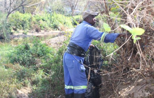 Elias Ndabandaba from the Paulshof Residents and Ratepayers Association cleaning team removes debris and litter from the Braamfontein spruit on June 02, 2026. Photo: Ayanda Ntshingila