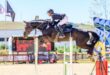 Ashlee Taylor and her horse 334 Callaho Stand by Me make their jump. Photo: