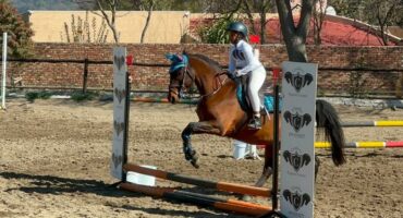 Avenly Symon and her horse Harry during the training show at Cavaliere Equine Centre on July 11, 2026. Photo: Supplied