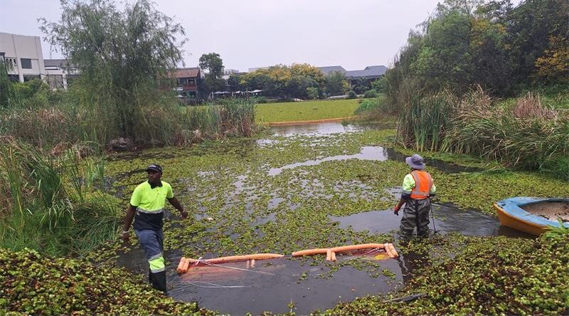 The Lonehill community has already contributed to reviving its much-loved dam, but as fundraising continues, Lonehill Residents Association shares an update on what has been achieved so far, where the money is going, and when residents can expect to see tangible progress.