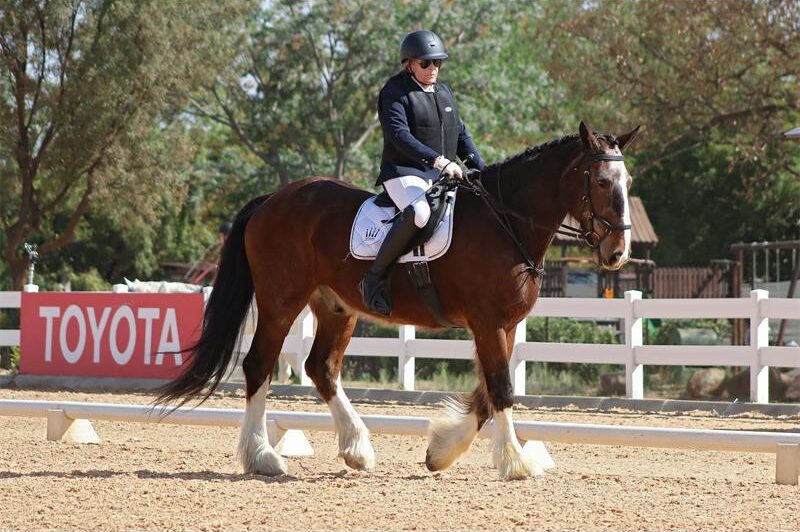 International FEI judges will officiate elite competition as top riders compete for a new vehicle prize at Kyalami Equestrian Park.