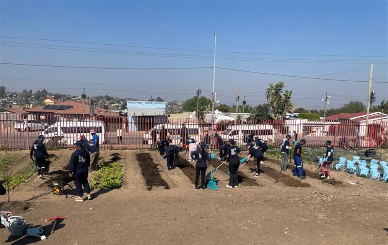 A community garden at the Diepsloot Ext 2 GBV forensic clinic is giving survivors and residents more than fresh vegetables, with local organisations joining forces to create a space for healing, skills, and independence.