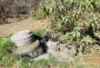 Sewage overflows from a manhole before flowing towards the Klein Jukskei River, where residents say recurring sewage spills have created an environmental and public health concern. Photo: Ayanda Ntshingila