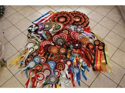 Danny het bykans 500 sertifkikate en rosette, en hierdie is slegs ’n paar daarvan.